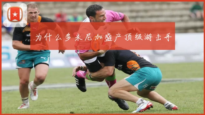 为什么多米尼加盛产顶级游击手