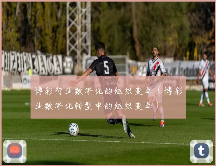 博彩行业数字化的组织变革（博彩业数字化转型中的组织变革）