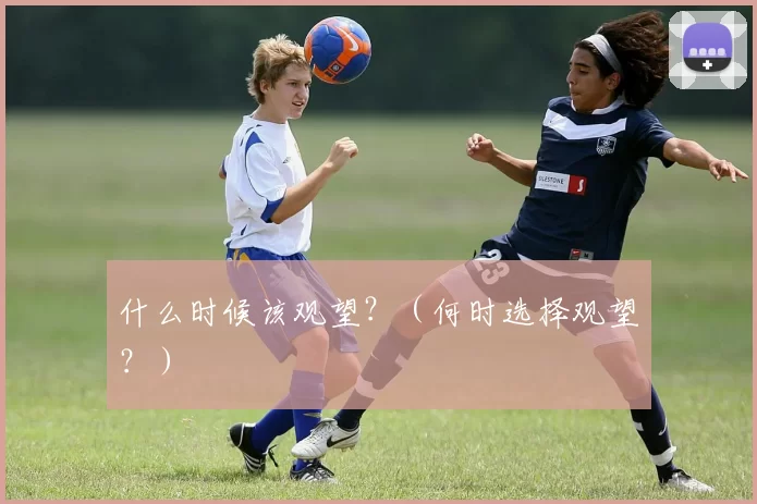 什么时候该观望？（何时选择观望？）