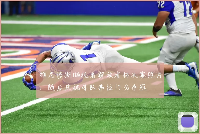 维尼修斯晒观看解放者杯决赛照片，随后庆祝母队弗拉门戈夺冠