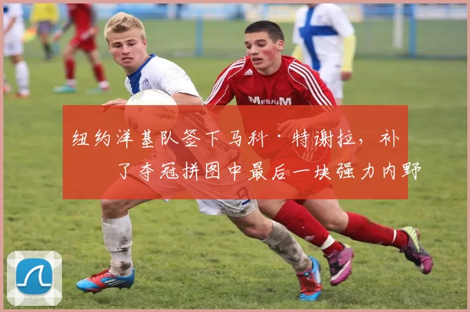 纽约洋基队签下马科·特谢拉，补强了夺冠拼图中最后一块强力内野火力