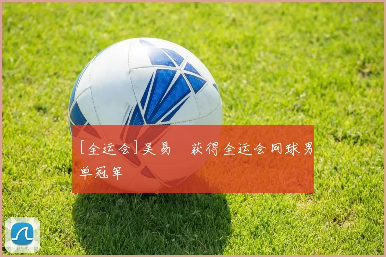 [全运会]吴易昺获得全运会网球男单冠军