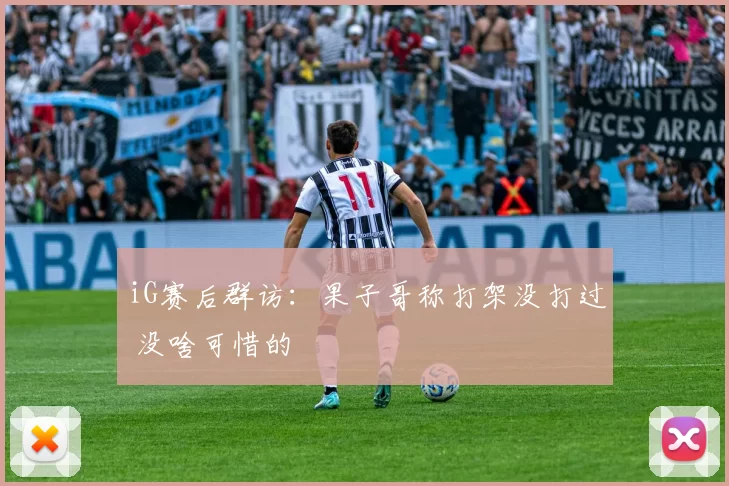 iG赛后群访：果子哥称打架没打过 没啥可惜的
